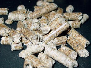 pellet procedente de biomasa forestal