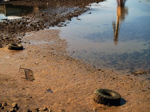 basura marina