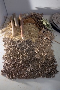 biomasa y pellets