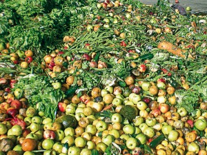 desperdicio de alimentos