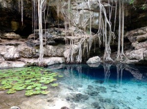 cenote