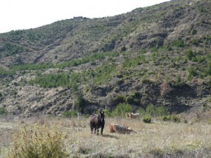 La recuperación ambiental del vertedero de Arguiñáriz se ha dado por concluida