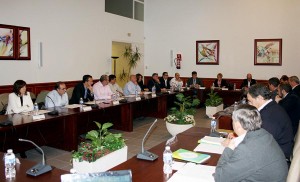 Pleno del Consorcio de Servicios Comsermancha