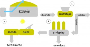 Esquema simplificado del tratamiento de digerido de Enerbiom, en el marco del proyecto DIGESMART