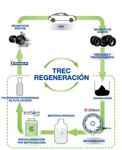Proyecto TREC Regeneración