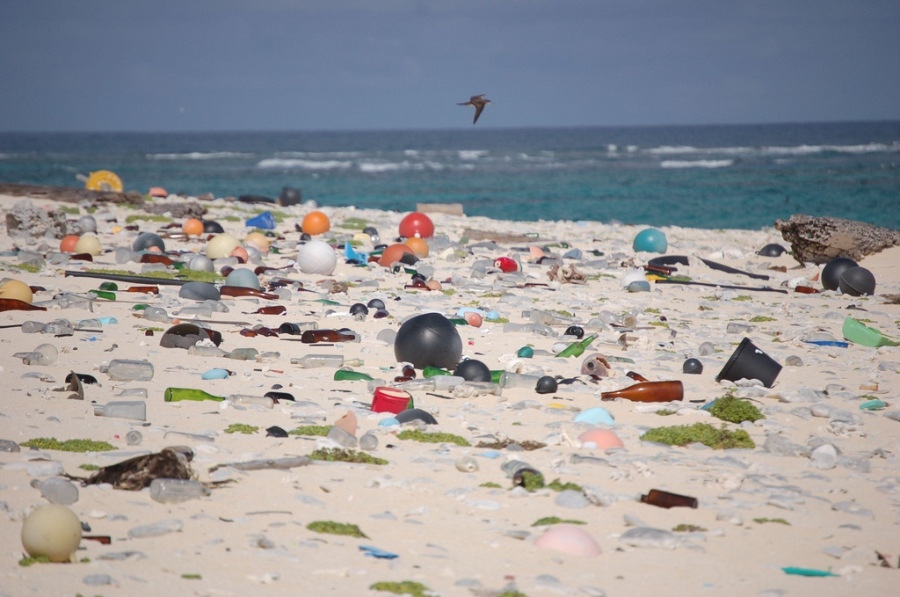 Marine_litter