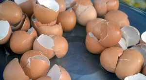 Aprovechar la cáscara de huevo como fuente de calcio