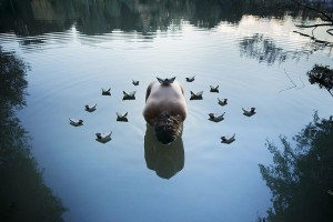 Tercera imagen clasificada en el concurso de fotografía Upcycling