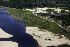 Toda la legislación sobre temas ambientales de Uruguay, disponible en la web