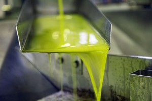 ALGATEC II: Biotecnología de microalgas para reciclar las aguas residuales de la producción de aceite de oliva
