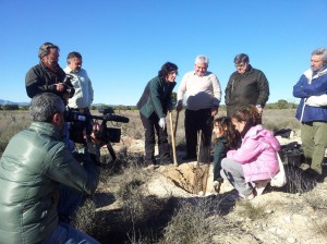 Reforestación en Lorca