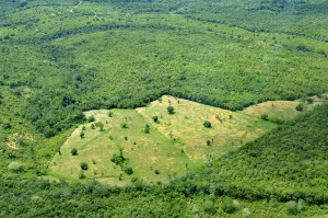 El uso de carbón vegetal en lugar del mineral duplica las emisiones procedentes de la producción de acero en Brasil