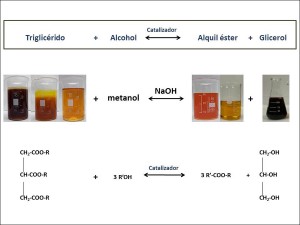 Los investigadores han producido biodiésel combinando hasta 13 mezclas distintas de aceites de palma, pescado y fritura