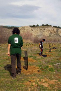 Los beneficios obtenidos con las bolsas vendidas se destinarán a la creación de un bosque