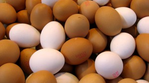Investigan el aprovechamiento de la cáscara de huevo para obtener nuevos materiales