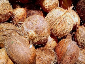 Aprovechan residuos de coco para obtener productos nutracéuticos