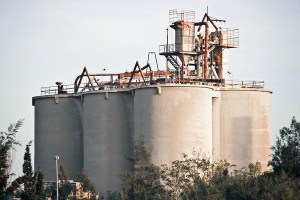 El uso de biomasa en la fabricación de cemento evitó la emisión de más de 800.000 toneladas de CO2