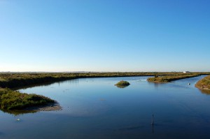 El proyecto se centra en el estudio del papel de los ecosistemas marinos como sumideros de CO2