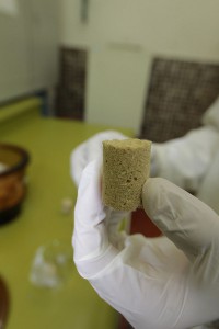 Biofiltro para biorremediación de suelos