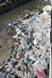 Ecologistas recogieron 300 kg de envases en apenas hora y media en el río Segura