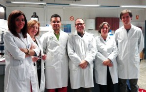 Obtienen biosurfactantes a partir de residuos de la industria oleícola