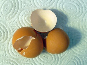 cáscaras de huevo para adsorber contaminantes