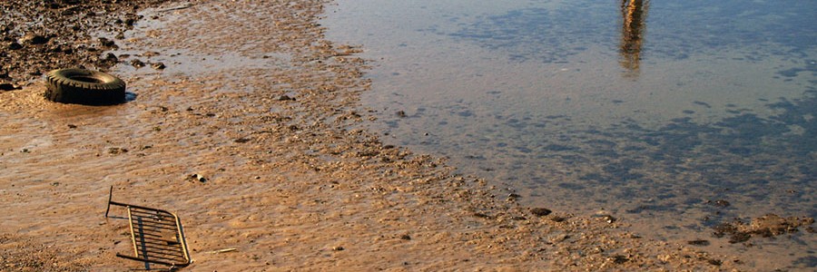 La creciente amenaza de la basura marina