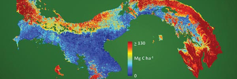 Panamá elabora el mapa nacional de carbono con mayor resolución del mundo