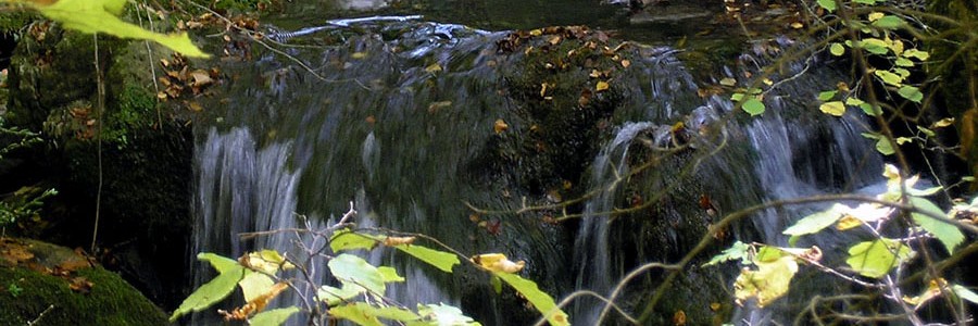 Próximo lanzamiento de la convocatoria de proyectos de investigación e innovación de Water JPI