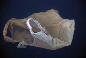 bolsa de plástico abandonada en medio acuático