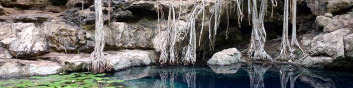 Detectan residuos fecales en el anillo de cenotes de Yucatán