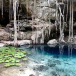 Detectan residuos fecales en el anillo de cenotes de Yucatán