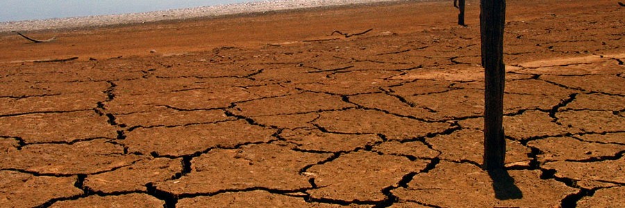 Conferencia sobre el cambio climático de Varsovia. Entre lo económico y lo ambiental