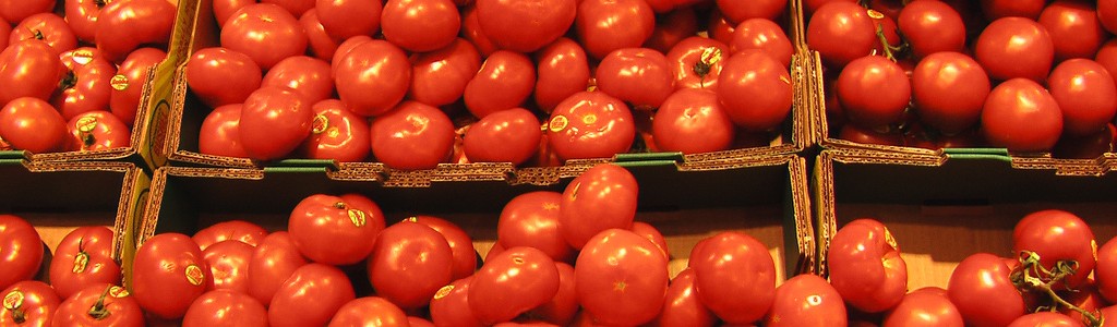 BIOCOPAC: Envasado de tomates a partir de residuos de tomates