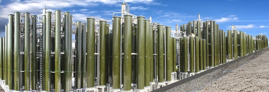 AIMPLAS y Biofuel Systems lideran un proyecto para fabricar plástico a partir de algas cultivadas con CO2 industrial