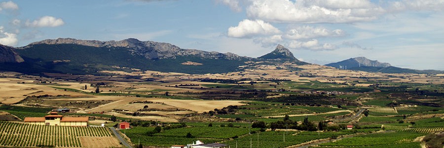 Nuevo proyecto europeo para convertir residuos agrícolas y acuícolas en energía renovable