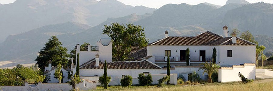 Huesos de aceituna alimentan dos calderas de biomasa en un hotel de Málaga