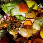 Proyecto Lignofood: alimentos funcionales a partir de residuos vegetales