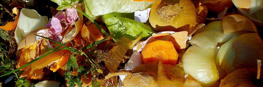 Proyecto Lignofood: alimentos funcionales a partir de residuos vegetales