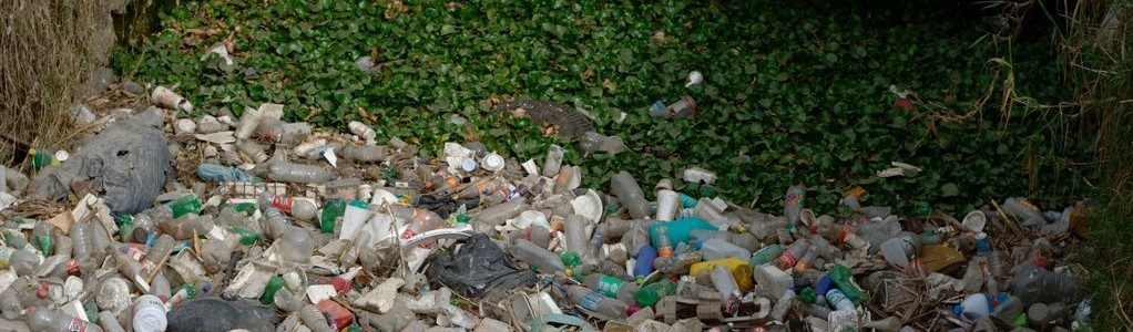 Residuos envases plásticos no gestionados contribuyen a propagación del dengue en Costa Rica