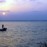 Las lagunas someras del Tancat de la Pipa actúan como depuradoras naturales de las aguas de l’Albufera