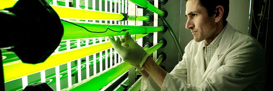 Iberdrola y Ainia crean un revolucionario sistema de captura de CO2 y cultivo de microalgas