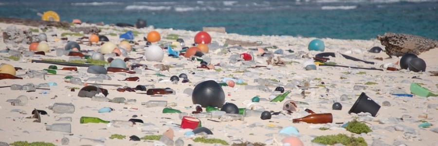 Abierto el plazo de votación del concurso escolar europeo de vídeos sobre basura marina