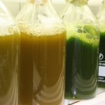 Proyecto Energreen: cultivo de microalgas más eficientes para producir biodiésel