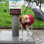 Un programa piloto aprovechará la orina de perro para mejorar la calidad del compost