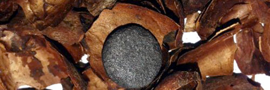 Obtienen carbón activado a partir de cascarilla de cacao