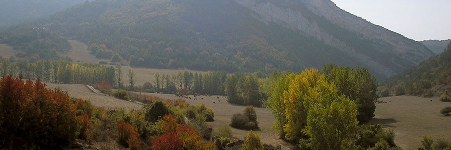 Aprobada la reforma de la Ley de Responsabilidad Ambiental