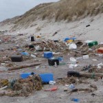 Marine LitterWatch, app para ayudar a abordar los desechos marinos