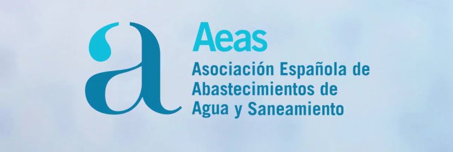 Fernando Morcillo, nuevo presidente de AEAS