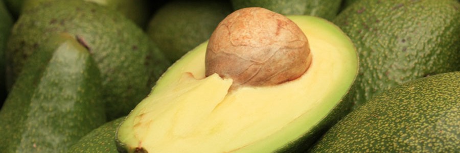 Un investigador mexicano obtiene bioplásticos de la semilla de aguacate